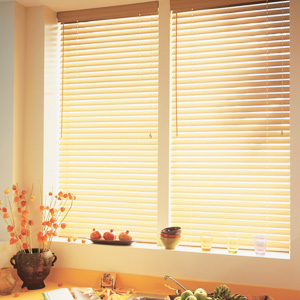 Aluminum Blinds Las Vegas