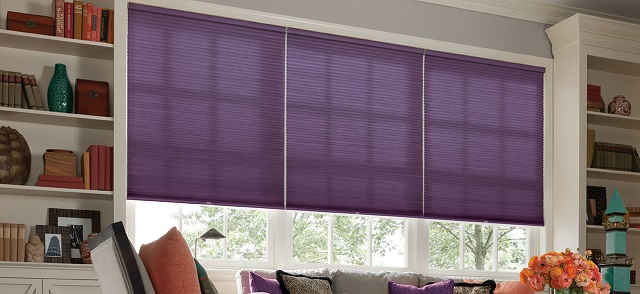 Comfortex Shades