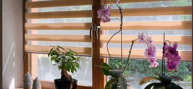 Blind Wholesaler, Llc Las Vegas - Avoid These 7 Window Blind Installation Fails 1 Avoid Window Blind Installation Fails