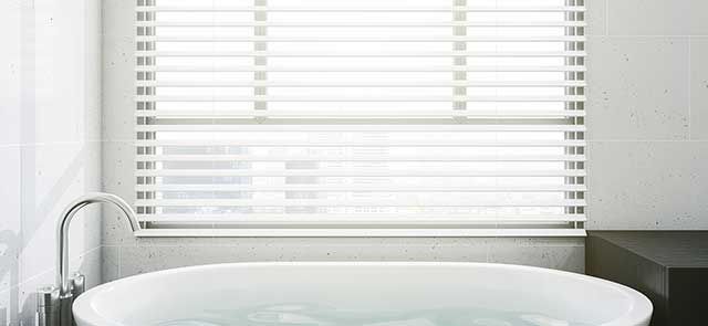 Bathroom Window Treatments