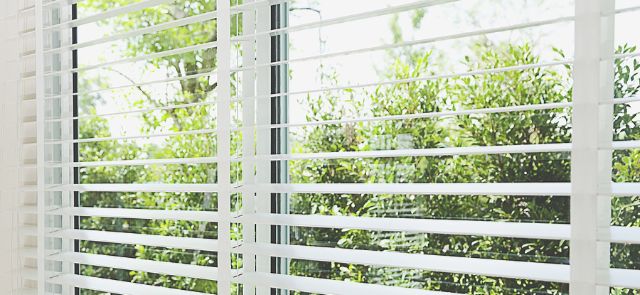 A Window With White Interior Shutters.