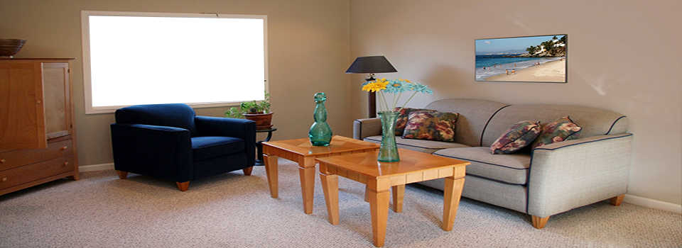 Family Room Automated Shade